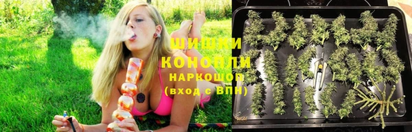 дмт Костерёво