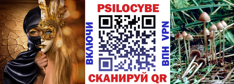 Псилоцибиновые грибы MAGIC MUSHROOMS  Переславль-Залесский 